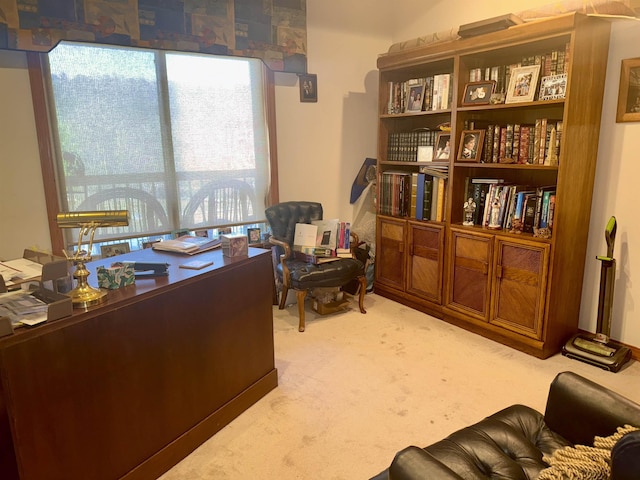 2157 Pleasant Grove Rd, Wideman, AR 72585 - home office with carpet