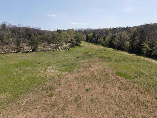 2157 Pleasant Grove Rd, Wideman, AR 72585 - view of nature with a rural view and a view of trees