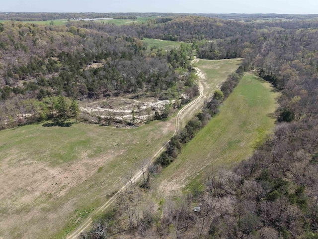 2157 Pleasant Grove Rd, Wideman, AR 72585 - drone / aerial view with a view of trees