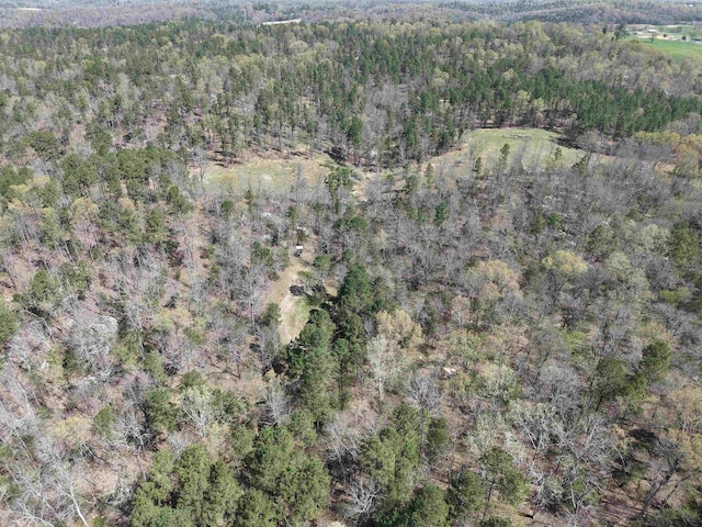 2157 Pleasant Grove Rd, Wideman, AR 72585 - drone / aerial view with a wooded view