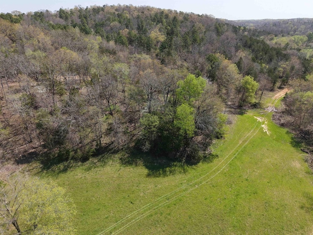 2157 Pleasant Grove Rd, Wideman, AR 72585 - aerial view featuring a view of trees