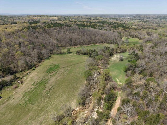 2157 Pleasant Grove Rd, Wideman, AR 72585 - birds eye view of property with a forest view