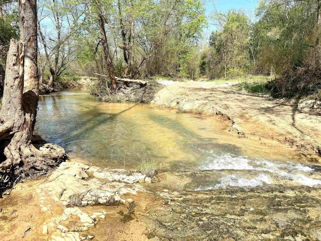 2157 Pleasant Grove Rd, Wideman, AR 72585 - property view of water