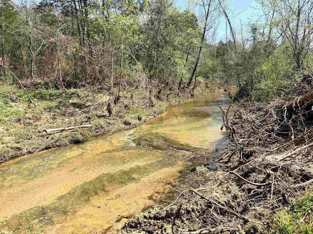 2157 Pleasant Grove Rd, Wideman, AR 72585 - view of local wilderness