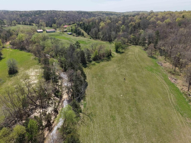 2157 Pleasant Grove Rd, Wideman, AR 72585 - drone / aerial view featuring a view of trees