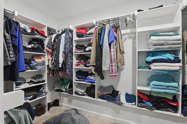 view of spacious closet