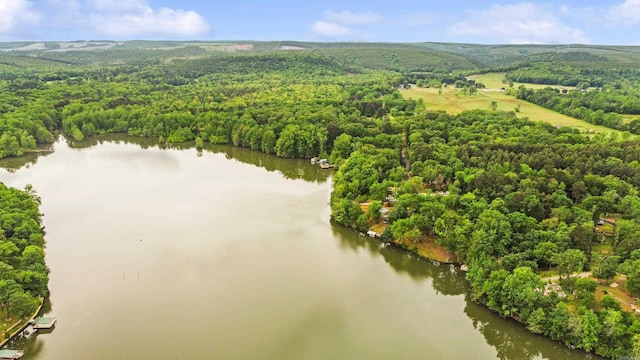 138 Ridge Rd, Houston, AR 72070 - aerial view with a wooded view and a water view