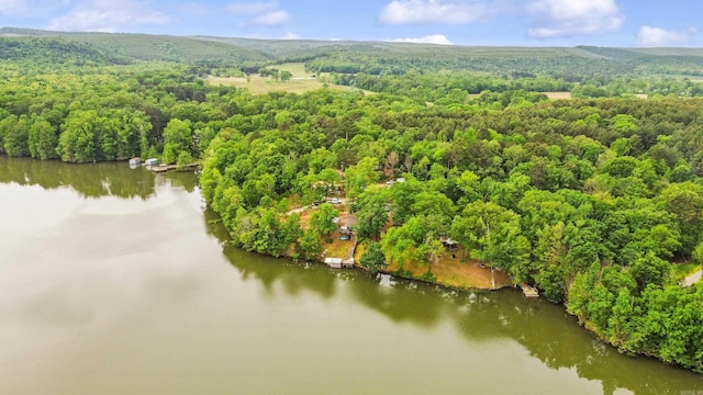 138 Ridge Rd, Houston, AR 72070 - bird's eye view featuring a water view and a forest view