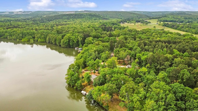 138 Ridge Rd, Houston, AR 72070 - bird's eye view featuring a wooded view and a water view