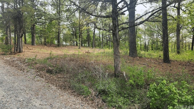 32 Red Oak Rd, Story, AR 71970