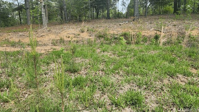 32 Red Oak Rd, Story, AR 71970