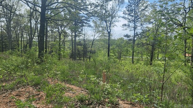 32 Red Oak Rd, Story, AR 71970