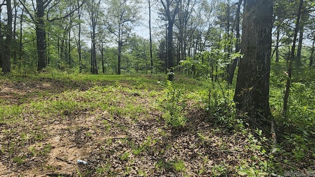 32 Red Oak Rd, Story, AR 71970