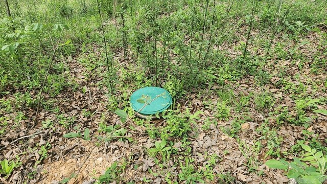 32 Red Oak Rd, Story, AR 71970