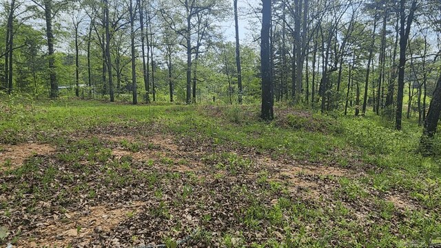 32 Red Oak Rd, Story, AR 71970