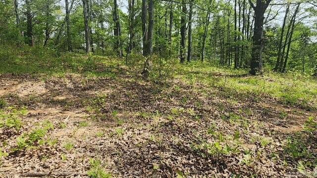 32 Red Oak Rd, Story, AR 71970