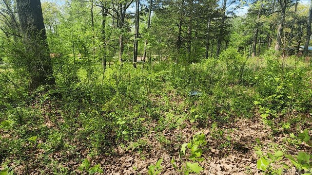 32 Red Oak Rd, Story, AR 71970