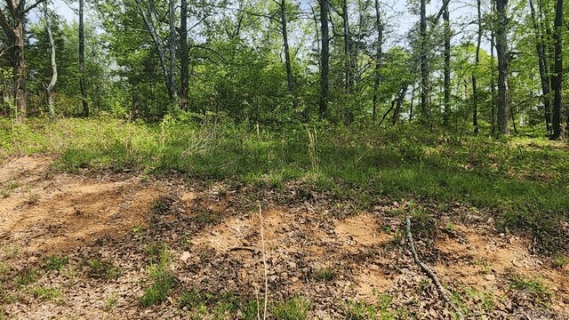 32 Red Oak Rd, Story, AR 71970
