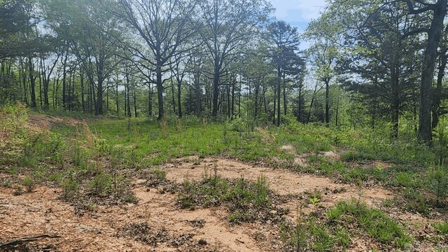 32 Red Oak Rd, Story, AR 71970