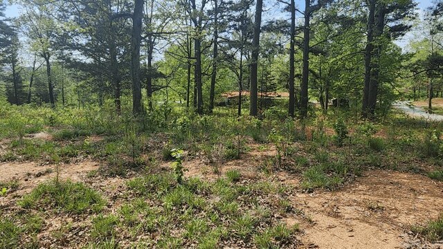 32 Red Oak Rd, Story, AR 71970