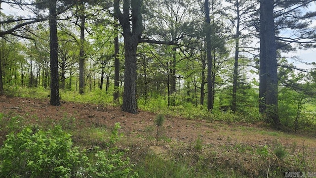 32 Red Oak Rd, Story, AR 71970
