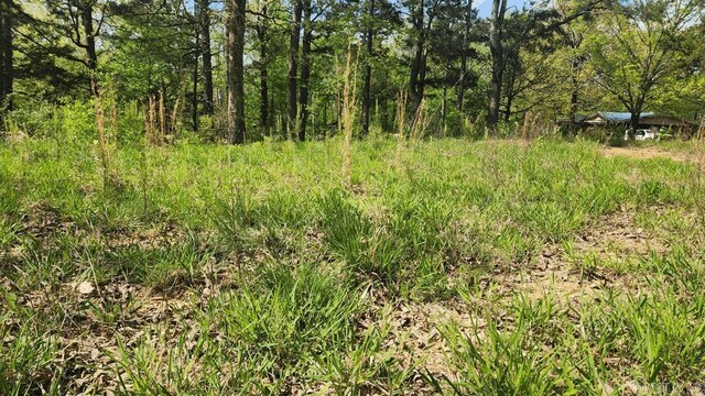 32 Red Oak Rd, Story, AR 71970