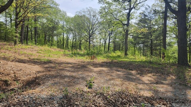 32 Red Oak Rd, Story, AR 71970