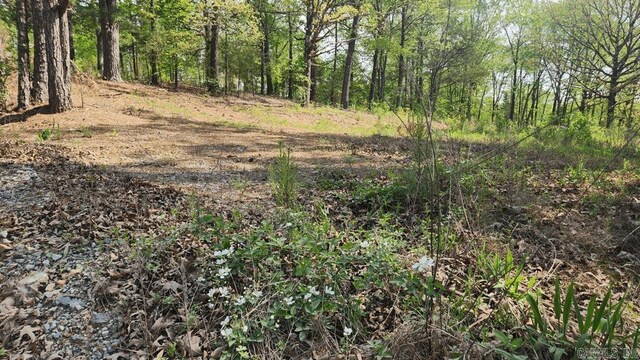 32 Red Oak Rd, Story, AR 71970