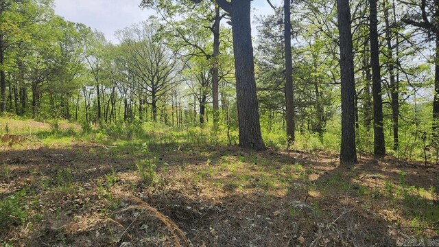32 Red Oak Rd, Story, AR 71970