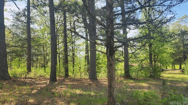 32 Red Oak Rd, Story, AR 71970