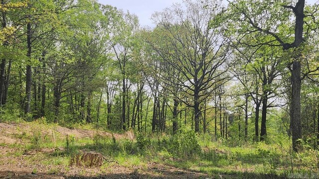 32 Red Oak Rd, Story, AR 71970