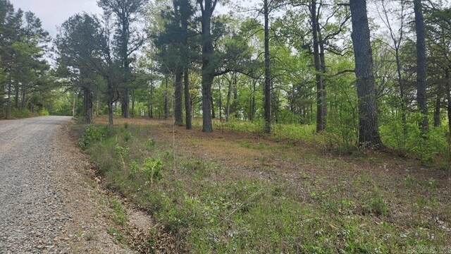 32 Red Oak Rd, Story, AR 71970