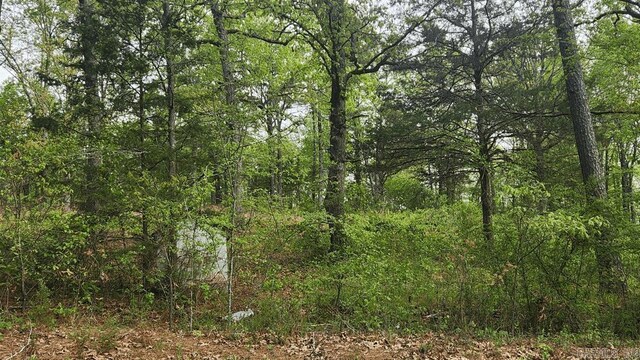 32 Red Oak Rd, Story, AR 71970