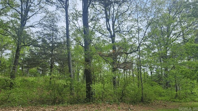 32 Red Oak Rd, Story, AR 71970