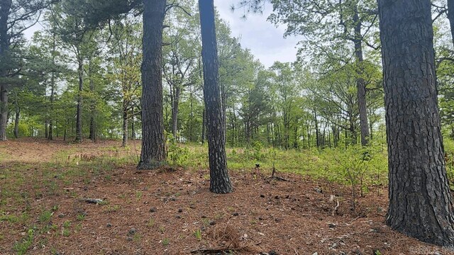 32 Red Oak Rd, Story, AR 71970