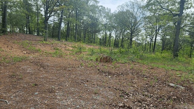 32 Red Oak Rd, Story, AR 71970