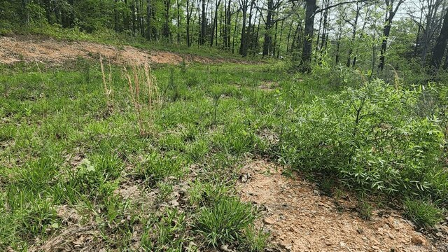 32 Red Oak Rd, Story, AR 71970