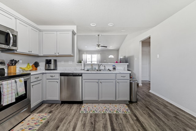 kitchen featuring a peninsula, appliances with stainless steel finishes, dark wood-type flooring, and a sink
