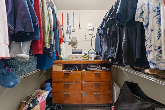 view of walk in closet
