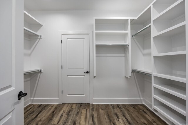 spacious closet featuring dark wood-style floors