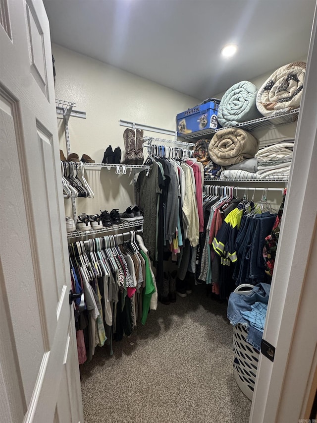 walk in closet featuring carpet floors