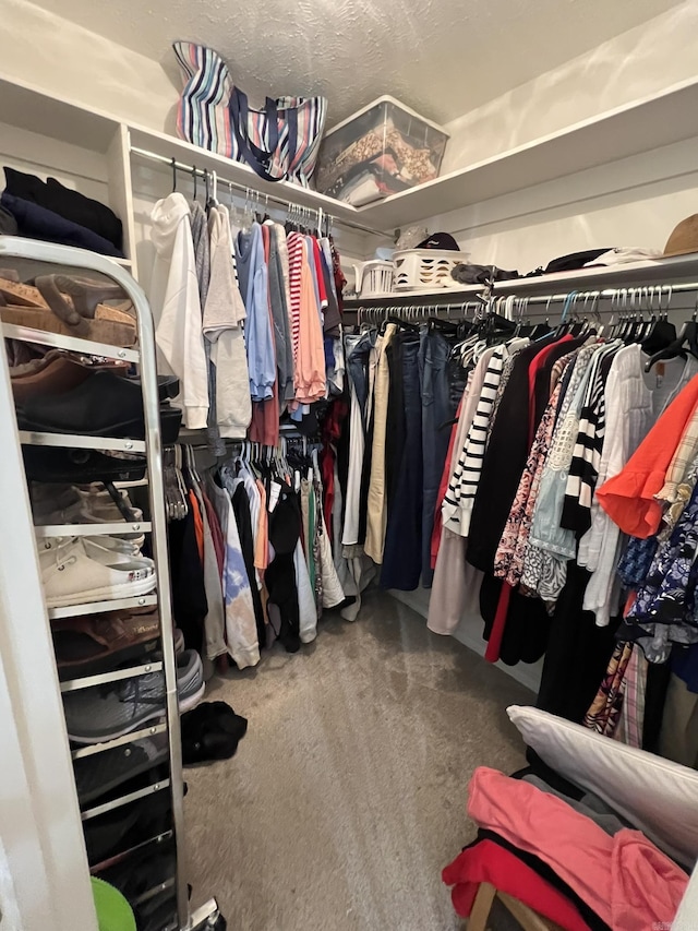 view of spacious closet