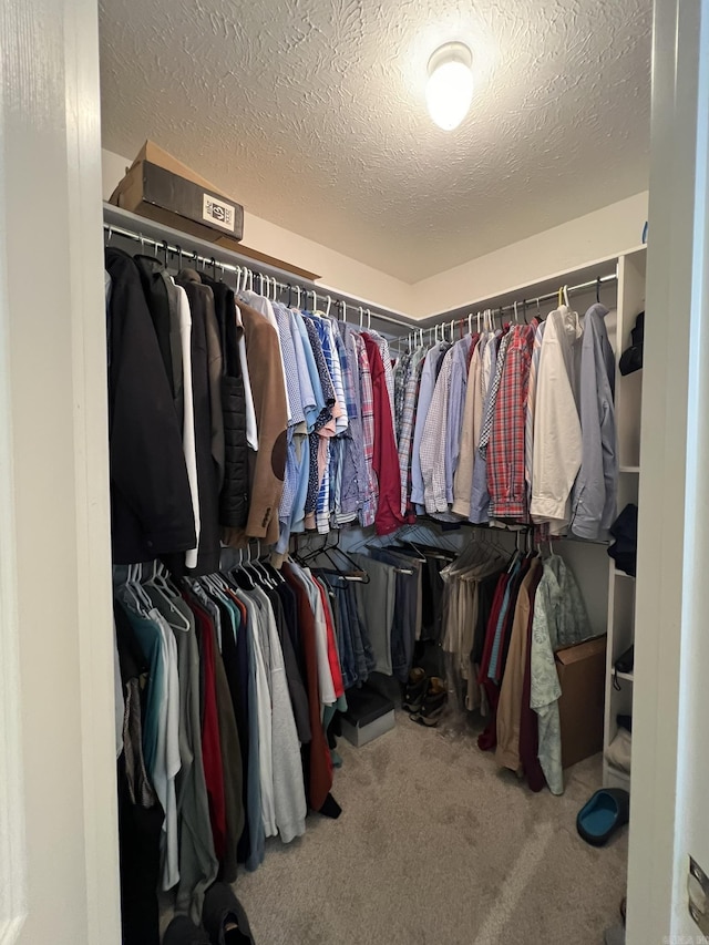 spacious closet featuring carpet floors