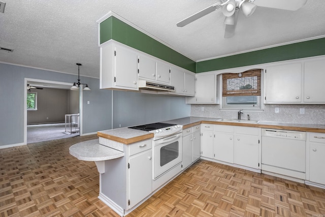 kitchen with a sink, ceiling fan, under cabinet range hood, and white appliances