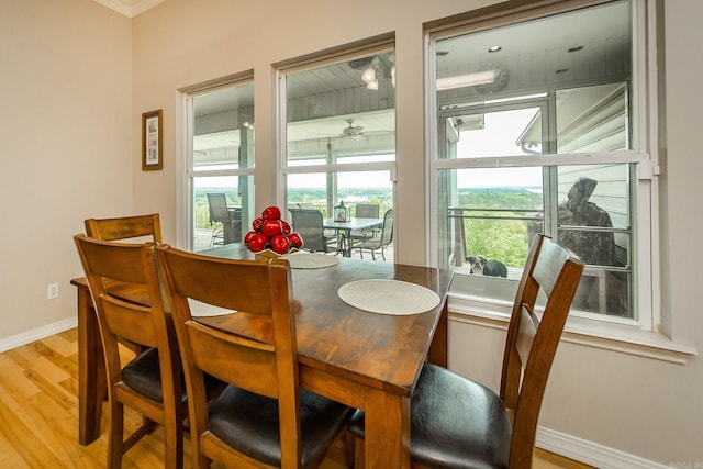 dining room with baseboards and light wood-type flooring