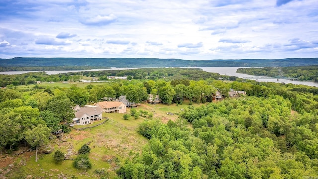 aerial view with a water view and a wooded view