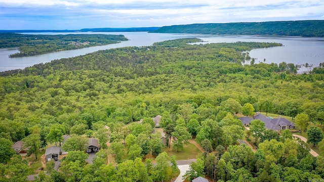 bird's eye view featuring a water view and a wooded view