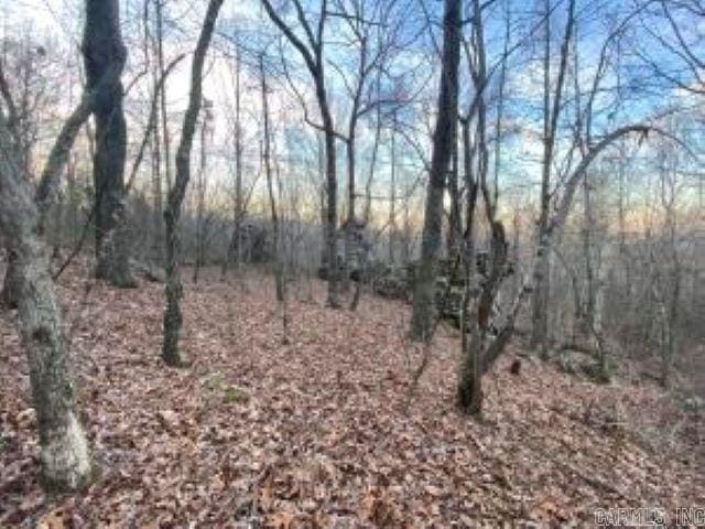 Whiskey Creek Ln, Batesville, AR 72501
