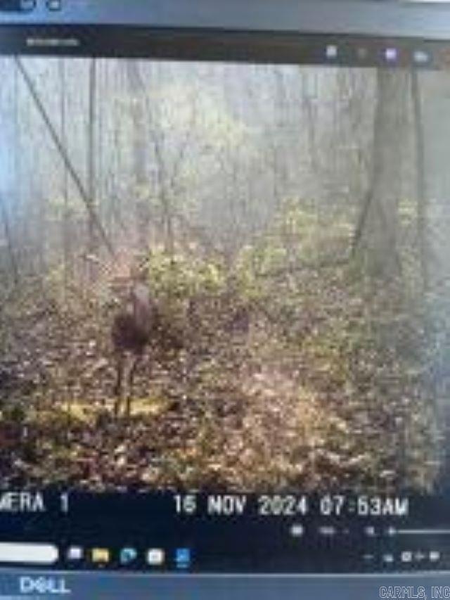 Whiskey Creek Ln, Batesville, AR 72501