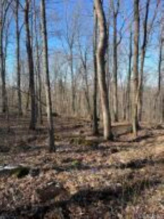 Whiskey Creek Ln, Batesville, AR 72501